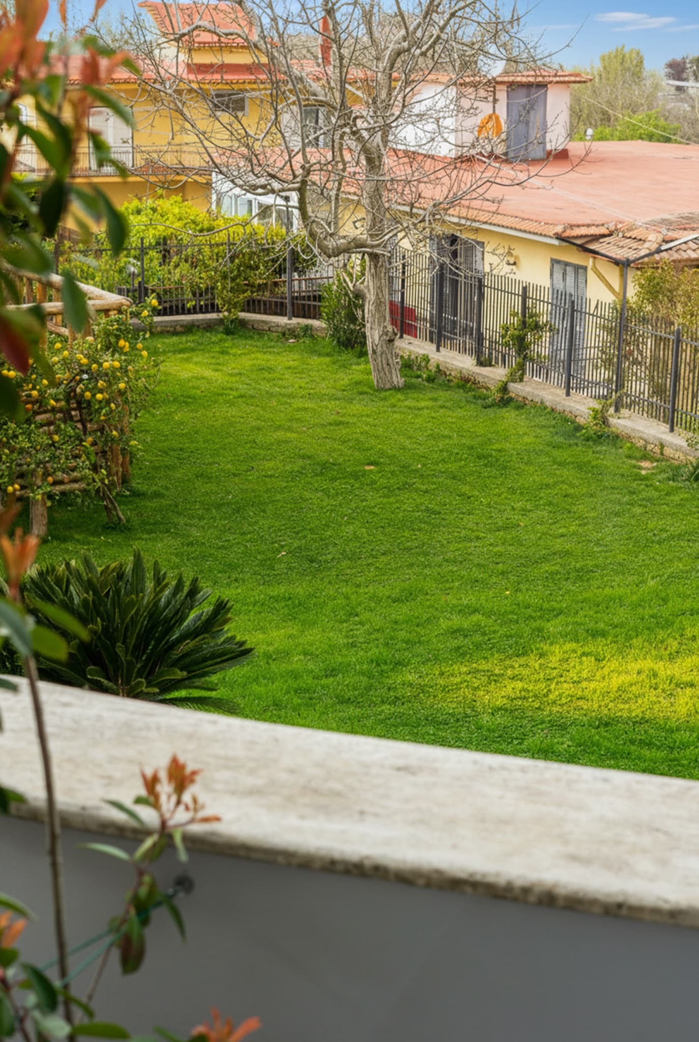 Giardino verde